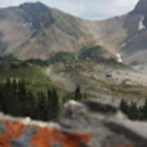 Meet your Posher, Dawson